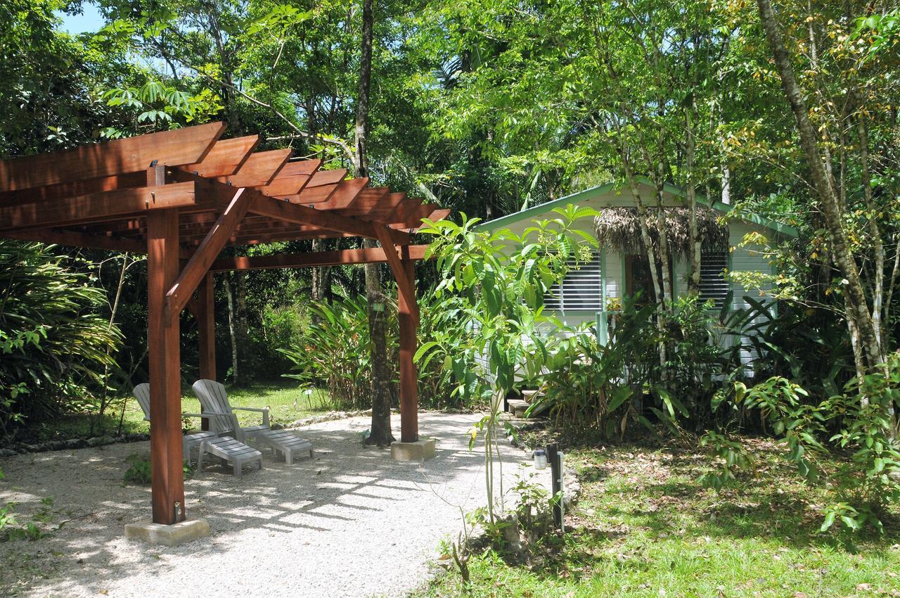 Hickatee Cottages Punta Gorda Exteriör bild