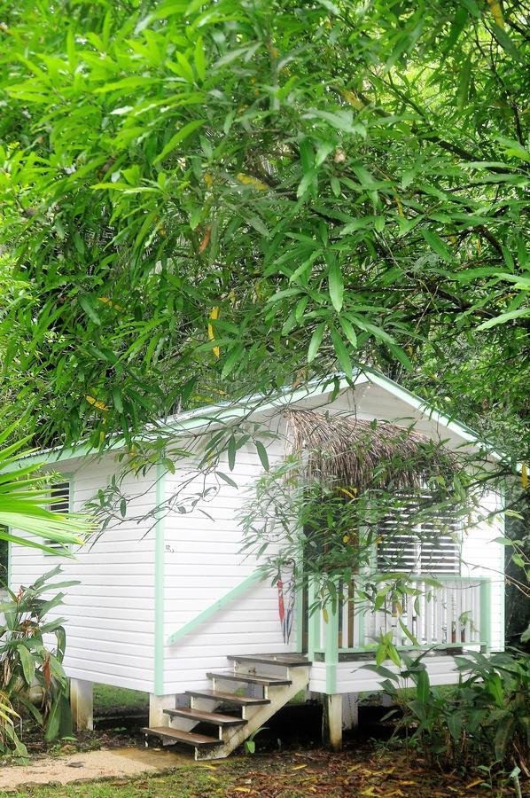 Hickatee Cottages Punta Gorda Exteriör bild